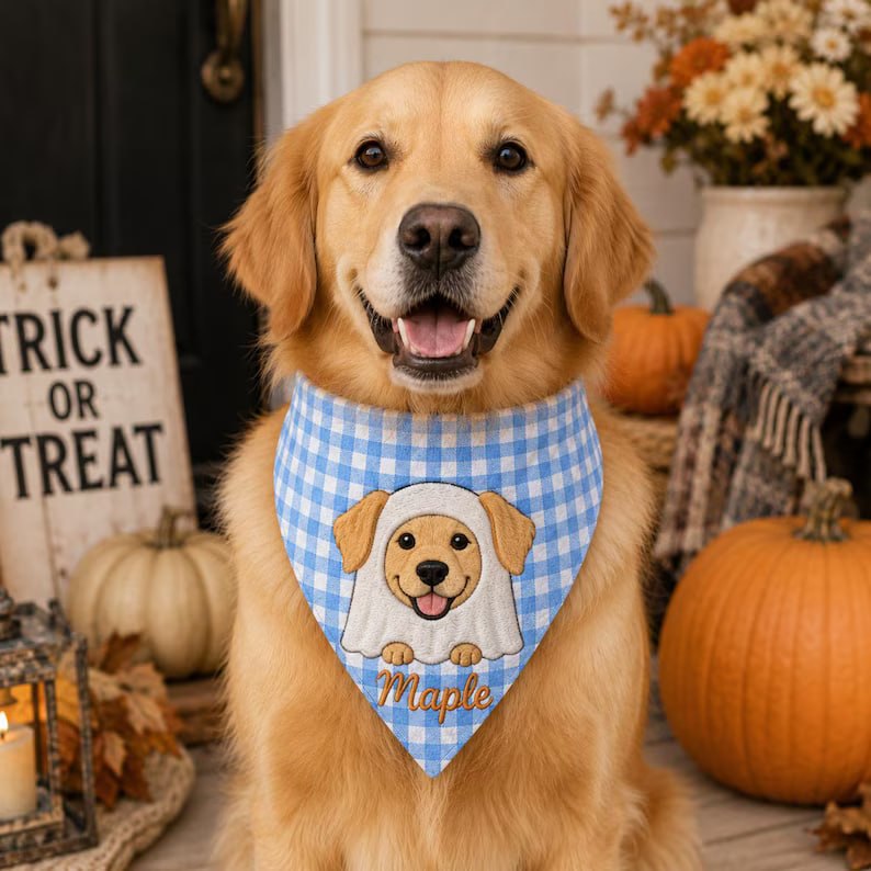 pet bandana